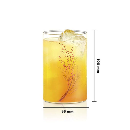 Borosil 295 ml Set of 6 Piece Cherry Vision Transparent Drinking Glass