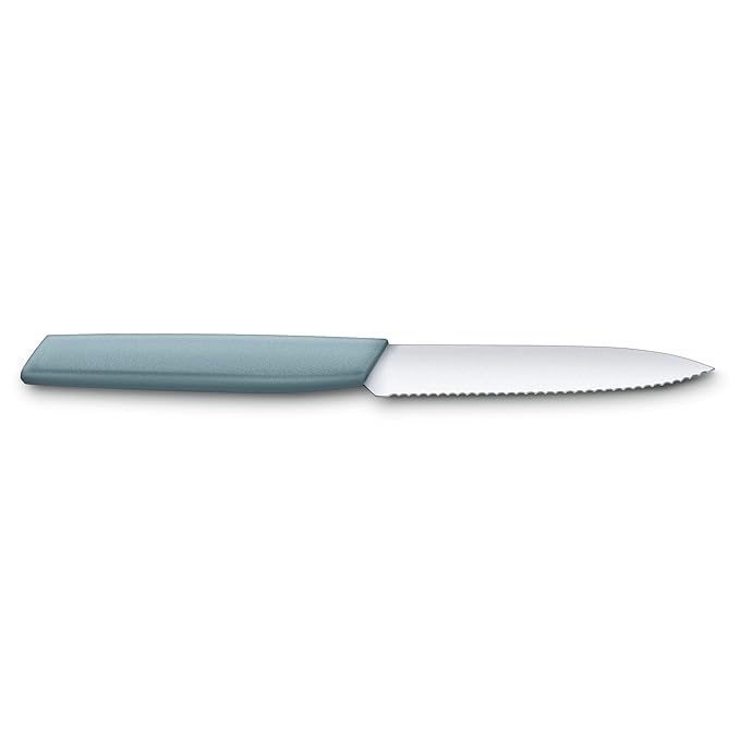 Victorinox Swiss Modern Stainless Steel Pairing Knife for Vegetable & Fruit Cutting 10 cm 6.9006.10W21