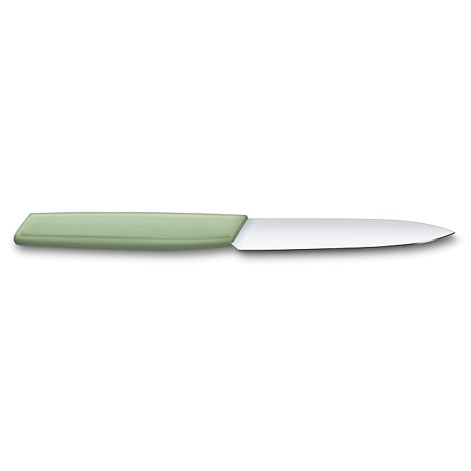 Victorinox Swiss Modern Stainless Steel Pairing Knife for Vegetable & Fruit Cutting 10 cm 6.9006.1042