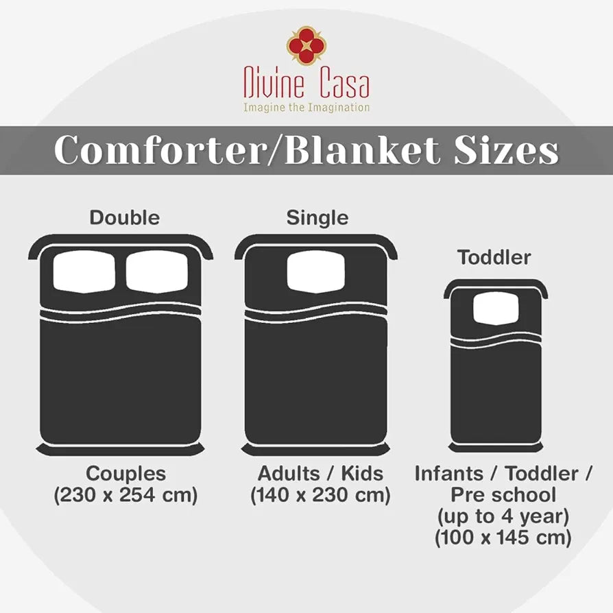 Divine Casa Microfiber 150 GSM Reversible Double Bed Comforter Ultra Soft & Lightweight Blanket Colour Silver Grey