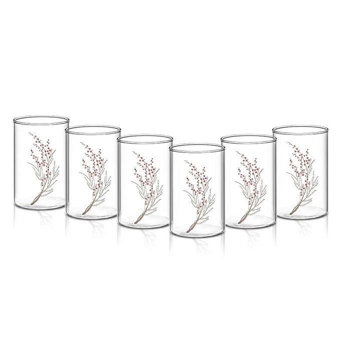 Borosil 295 ml Set of 6 Piece Cherry Vision Transparent Drinking Glass