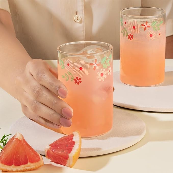Borosil Vision Ayana 295 Ml Set of 6 Pieces Transparent Drinking Glass