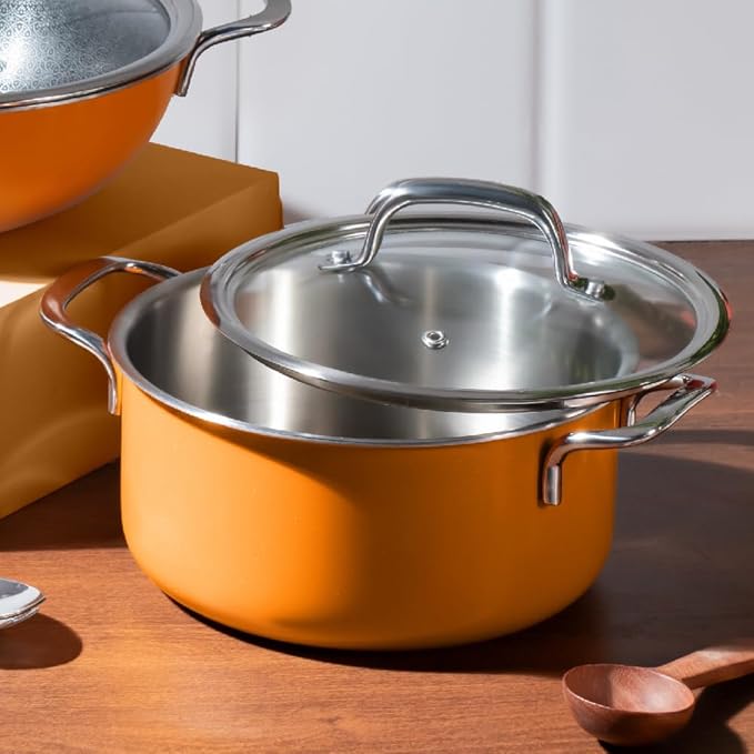 Arttdinox Vida Stainless Steel Triply Pot With Glass Lid for Biryani | 18 Cm | 2 Ltrs | Rivetless Handle | Induction & Gas Base