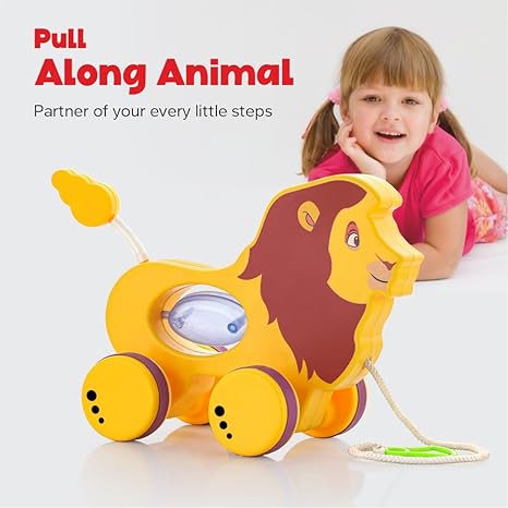 Zudo Pull Along Toddler Toy Pull Along Toy with Attractive Design Developmental Toy