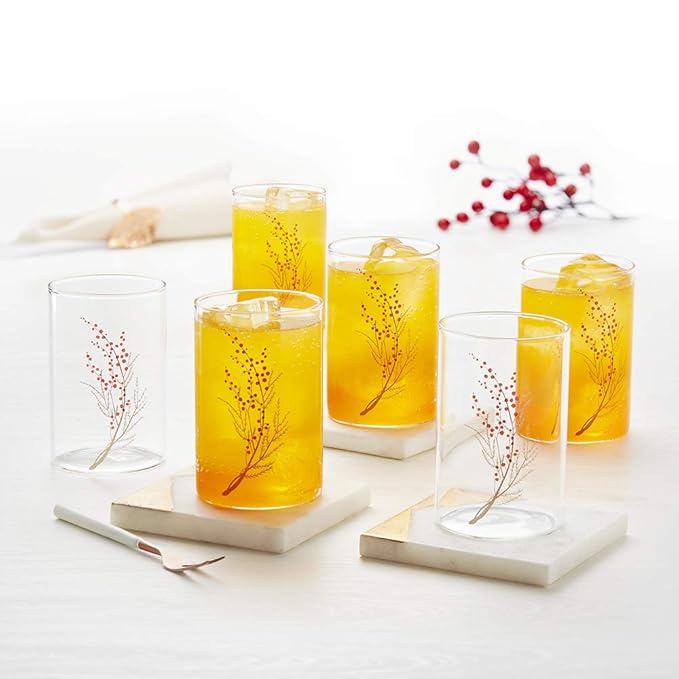 Borosil 295 ml Set of 6 Piece Cherry Vision Transparent Drinking Glass
