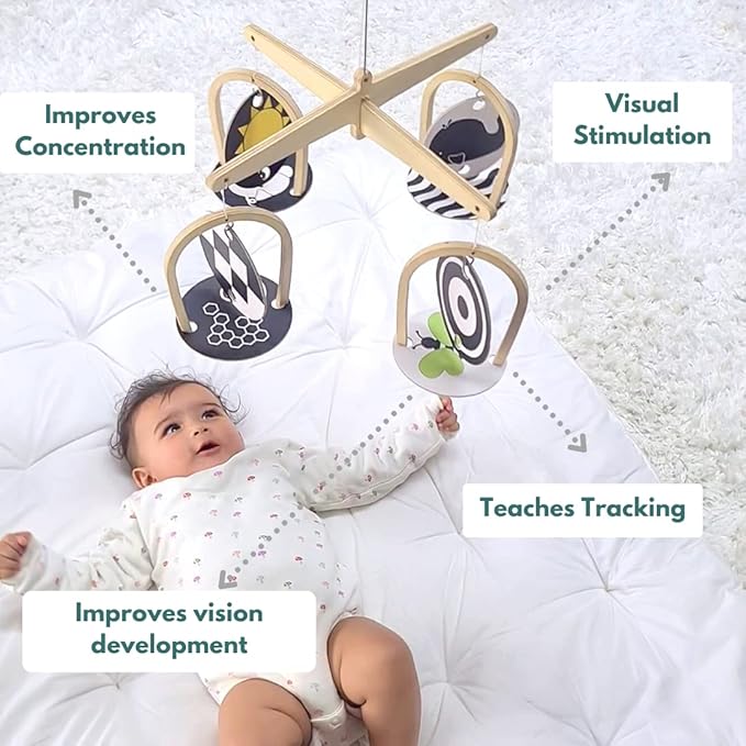 Curious Cub Montessori Learning Wooden Toys