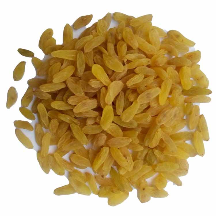 Premium Quality Golden Raisins (Kismis)