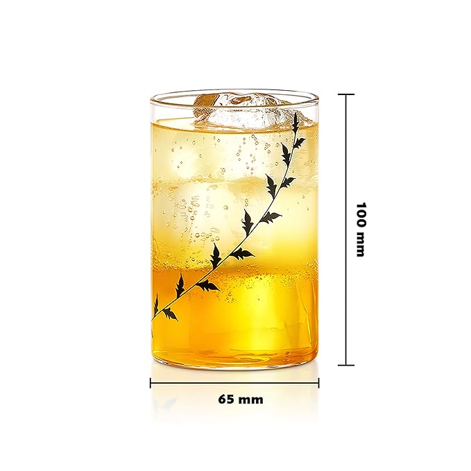 Borosil Vision Black Krip 295 ml Set of 6 Piece Transparent Drinking Glass