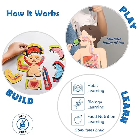 Smartivity My Body My Nutrition Toy for Kids Healthy Eating Game Educational Science Toy