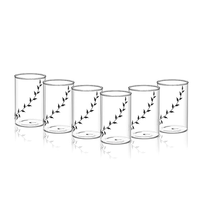 Borosil Vision Black Krip 295 ml Set of 6 Piece Transparent Drinking Glass