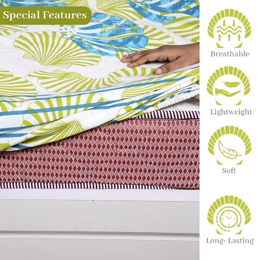 Divine Casa Cotton Acid Lime Bedsheet for Double Bed Elastic Fitted with 2 Pillow Covers Calming Shells Colour Acid Lime
