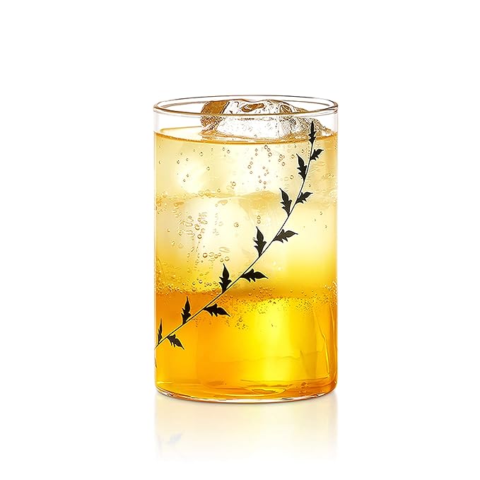 Borosil Vision Black Krip 295 ml Set of 6 Piece Transparent Drinking Glass