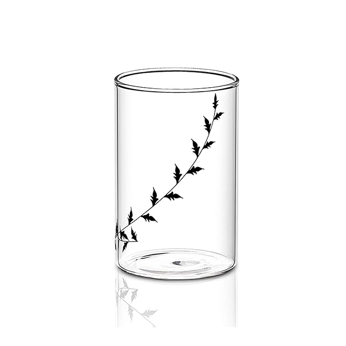 Borosil Vision Black Krip 295 ml Set of 6 Piece Transparent Drinking Glass