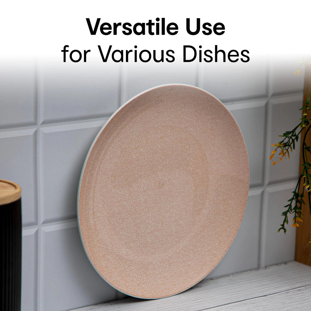 Anko 11 inch Pink Bella Stoneware Dinner Plates Set of 2 Microwave Dishwasher Safe