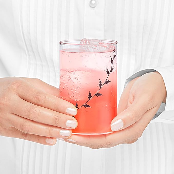 Borosil Vision Black Krip 295 ml Set of 6 Piece Transparent Drinking Glass