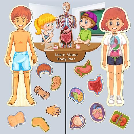 Zudo Wooden Montessori Educational Pre School Puzzle Board Toy for Boys and Girls Wooden Body Parts