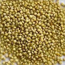 Nutty Yogi Organic Browntop Millet