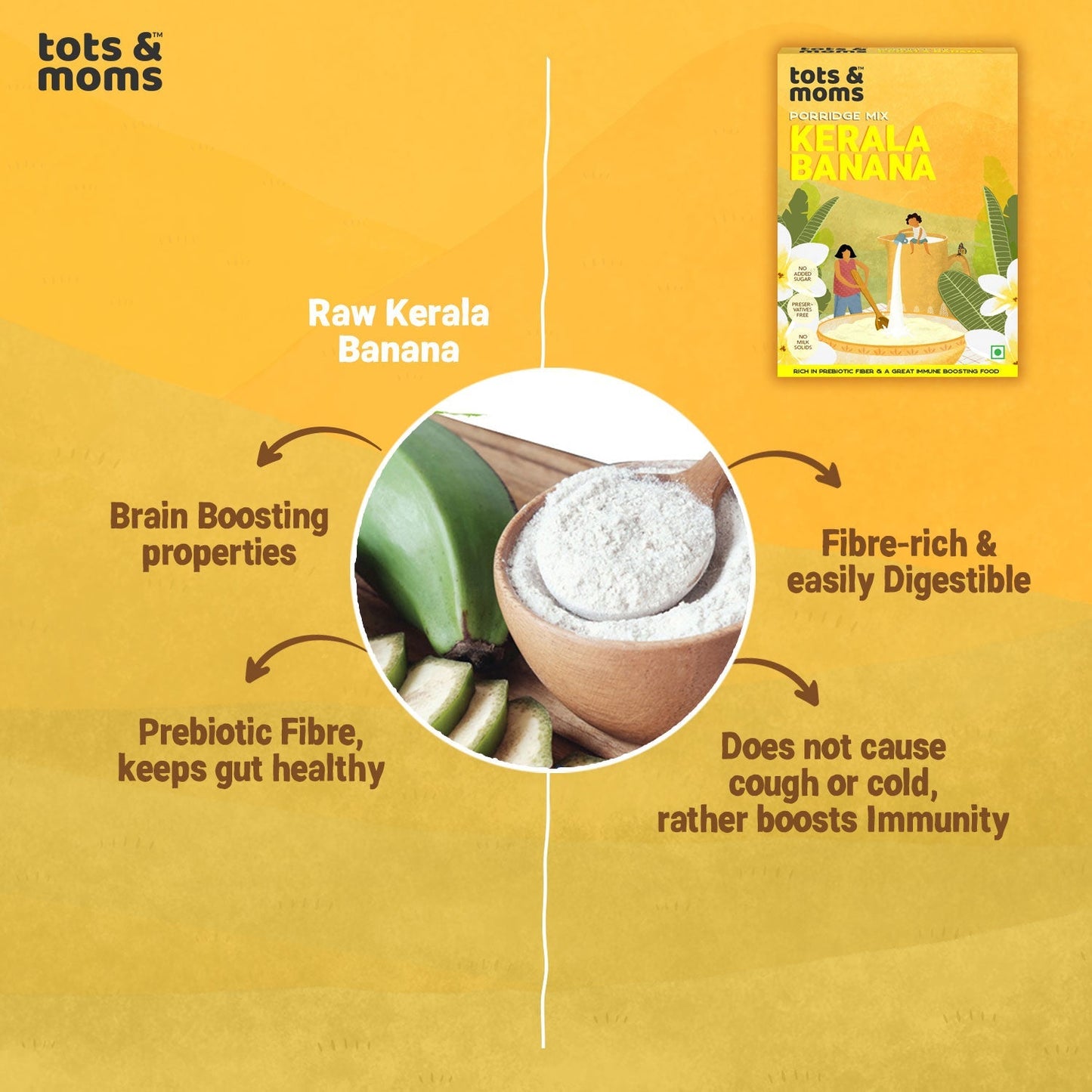 Kerala Banana Powder - Pack of 3