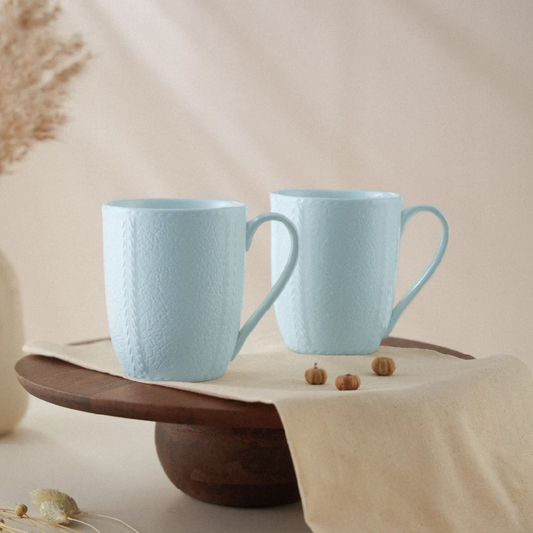 Borosil Porcelia Elva Mug Slate Set of 2 (350ml×2)