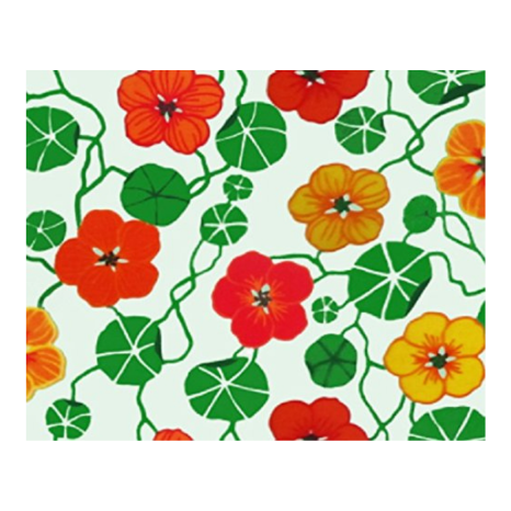 Airwill Cotton Designer Printed Aprons Sized 65cm in Width & 80cm in Length with 1 Center Pocket Adjustable