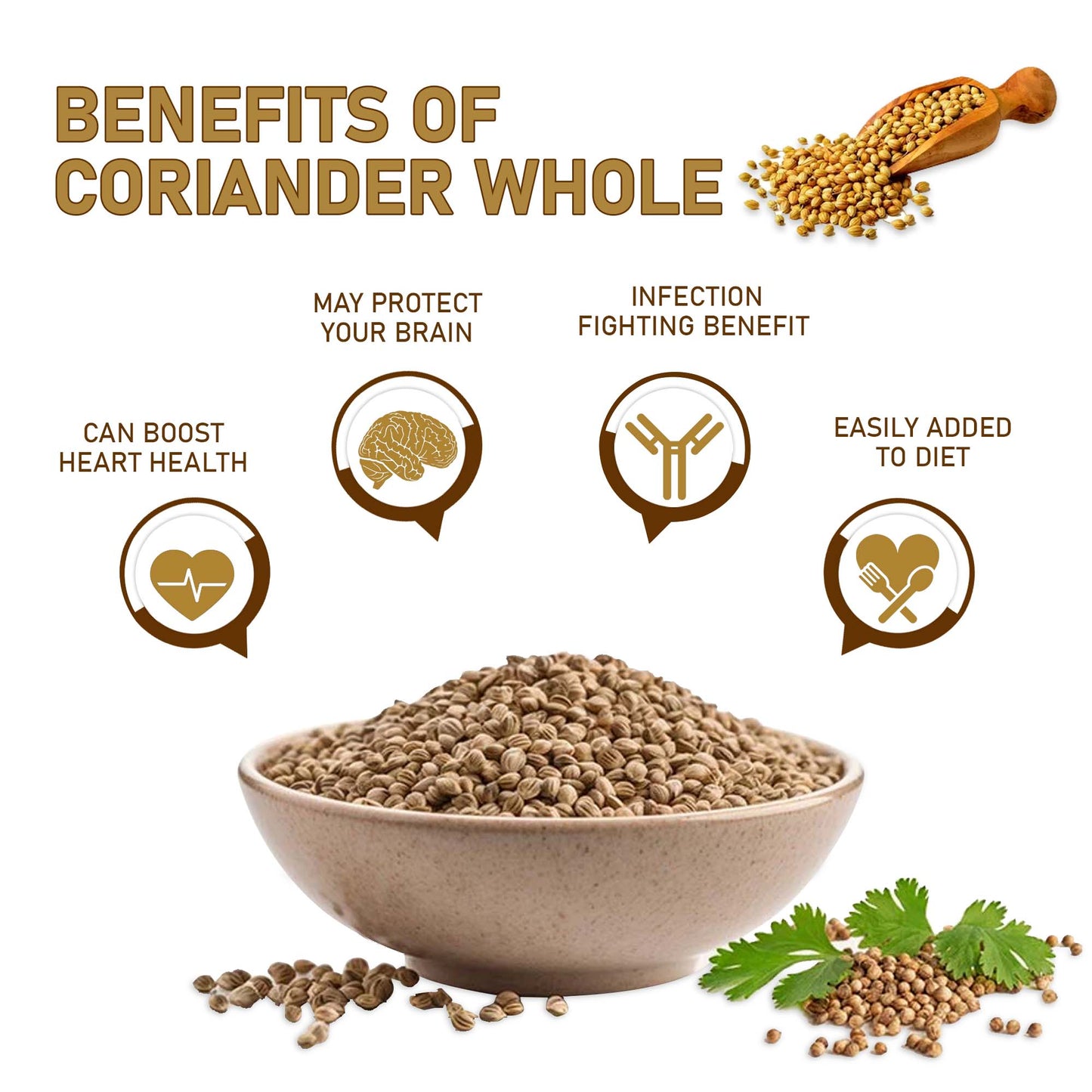 Organic Coriander Whole 75 Gm