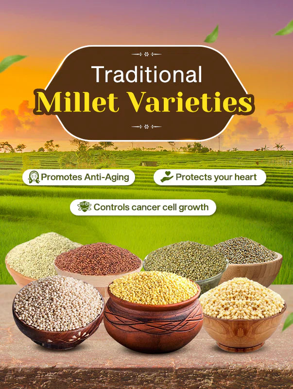 Palm Jaggery | Thati Bellam | Karupatti | Date Palm Jaggery | Nolen Gur | Khajur Gud | Patali Gur | Panavellam