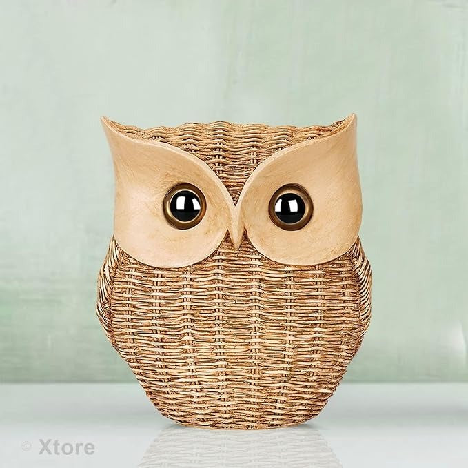 Xtore Modern Classy Lucky Owl Resin Art Figure Showpiece