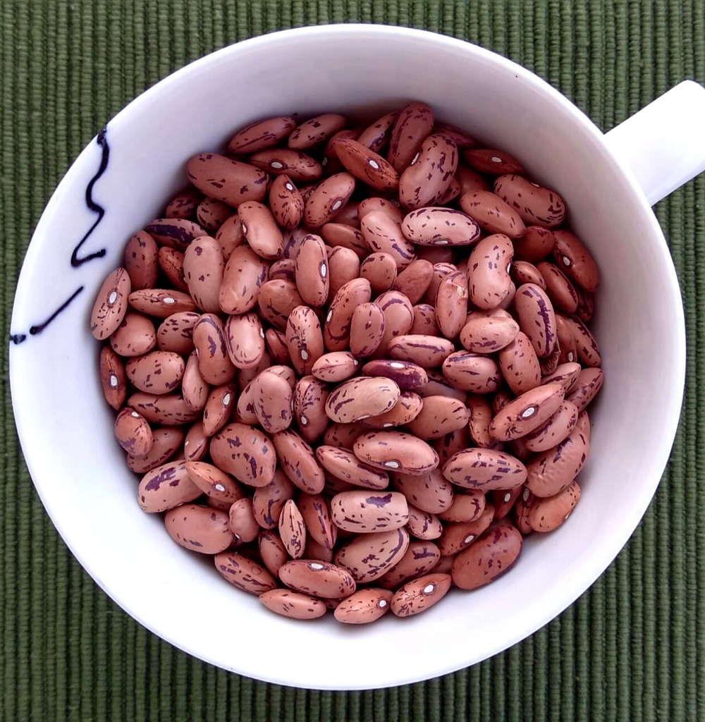 Rajma Chitra