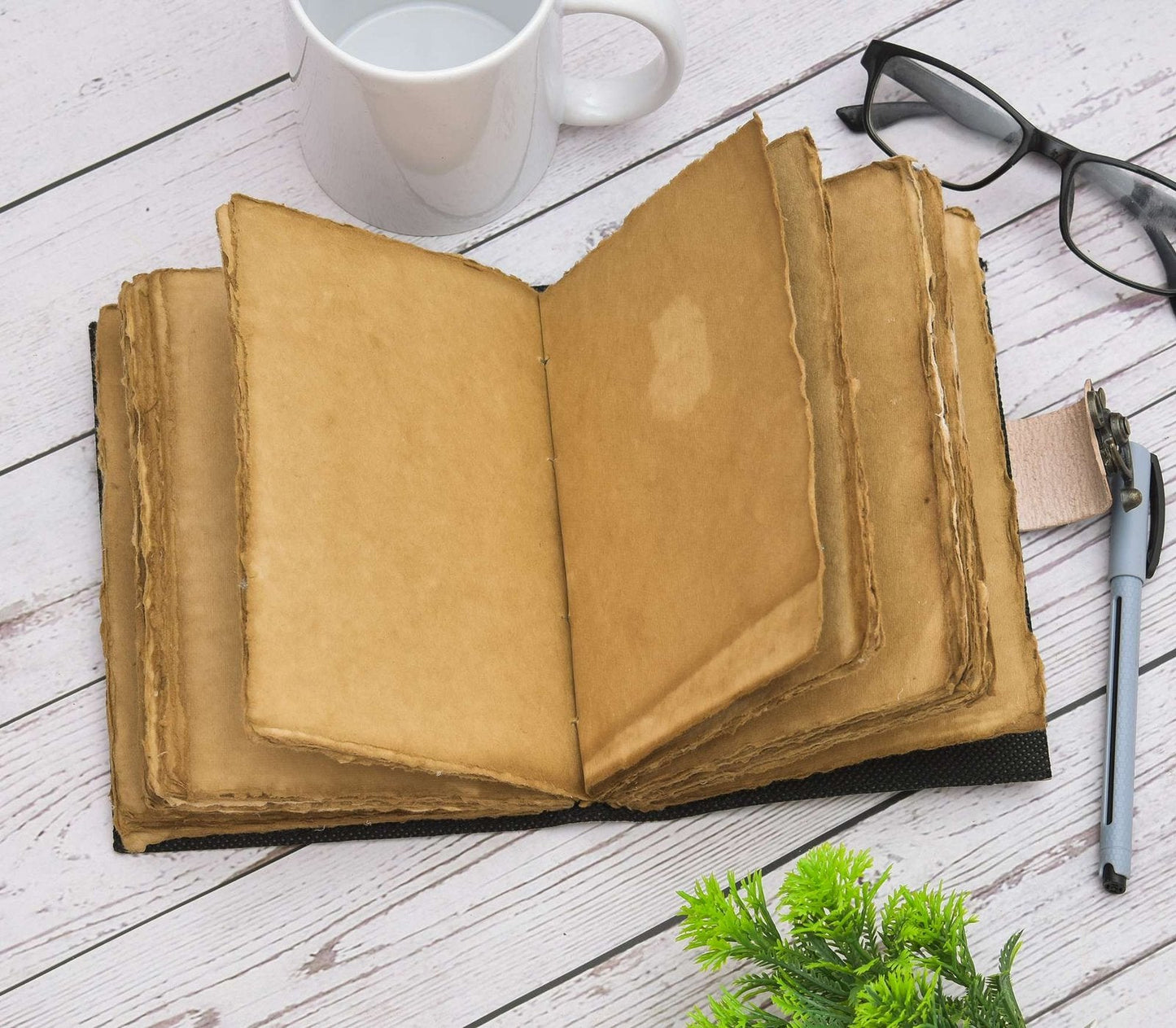 Diary