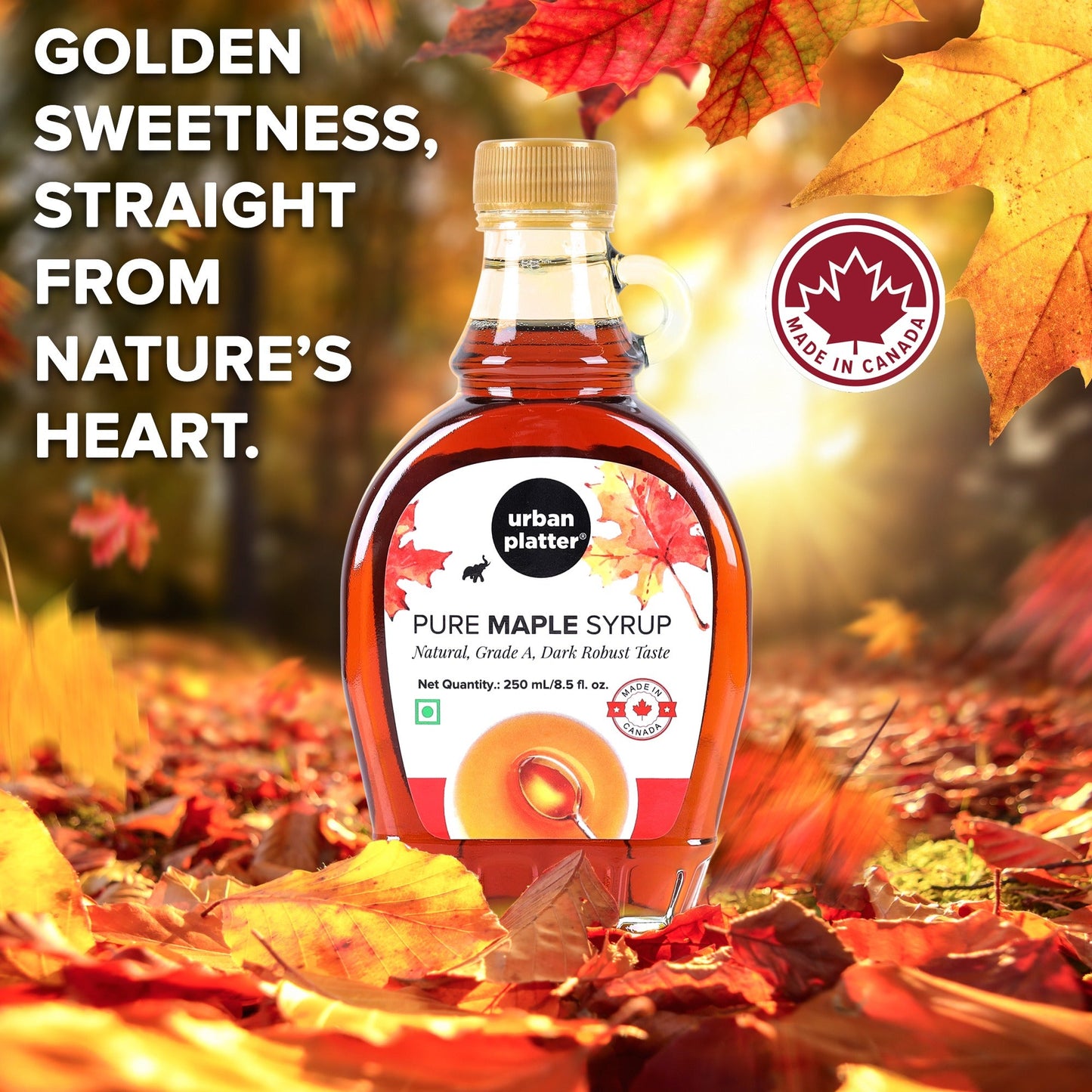 Urban Platter Pure Maple Syrup - 250 ml
