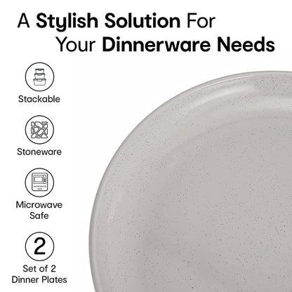 Anko Speckled Green Glazed Dinner Plate Set of 2 10 inch Grey Lightweight