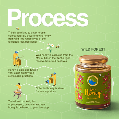 Raw Wild Forest Honey