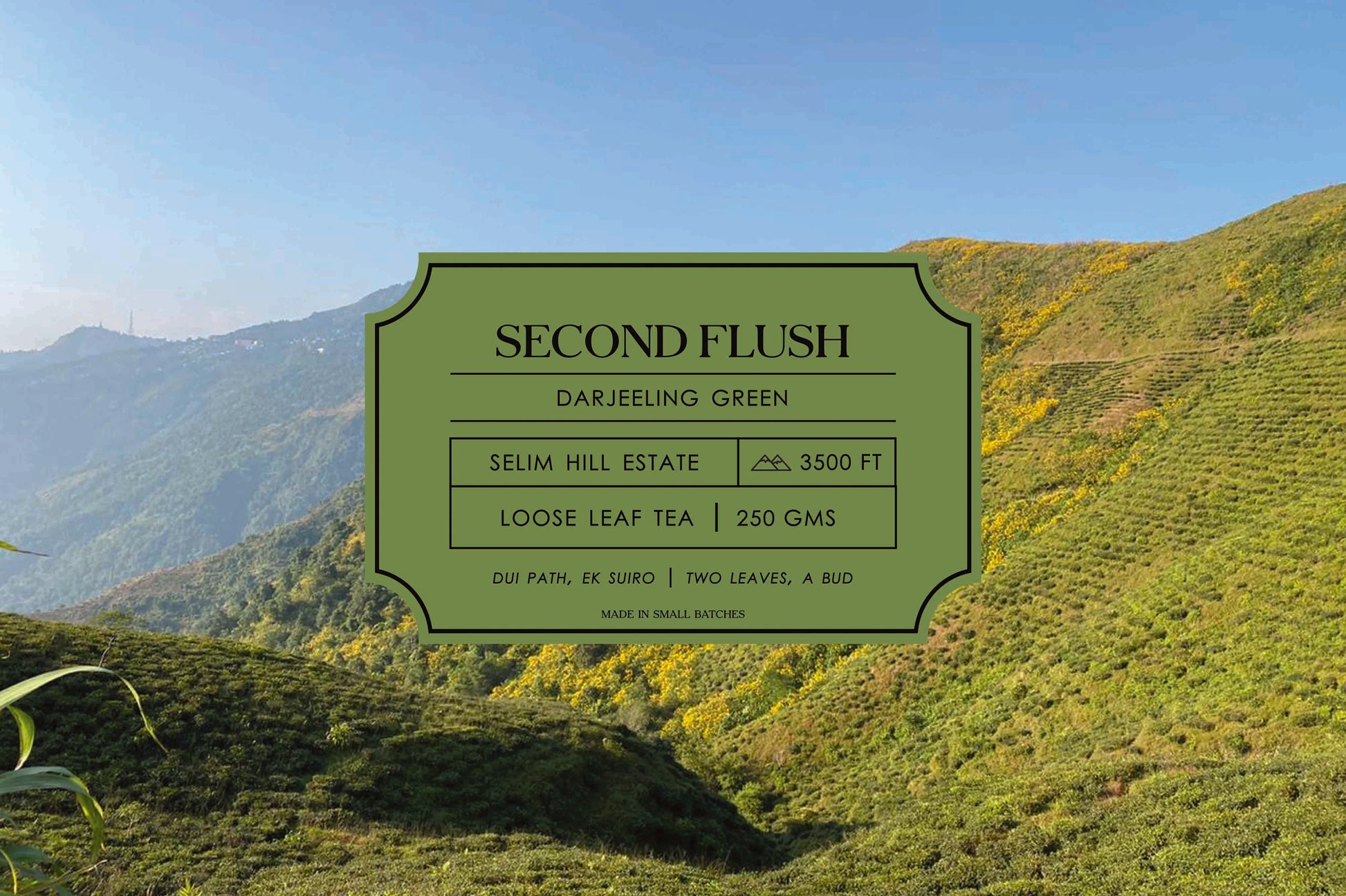 Second Flush – Green Tea