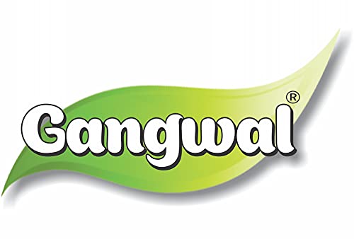 Gangwal Kitchen King Masala 50gm (Box)