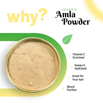 PureOrganio Organic Amla Powder