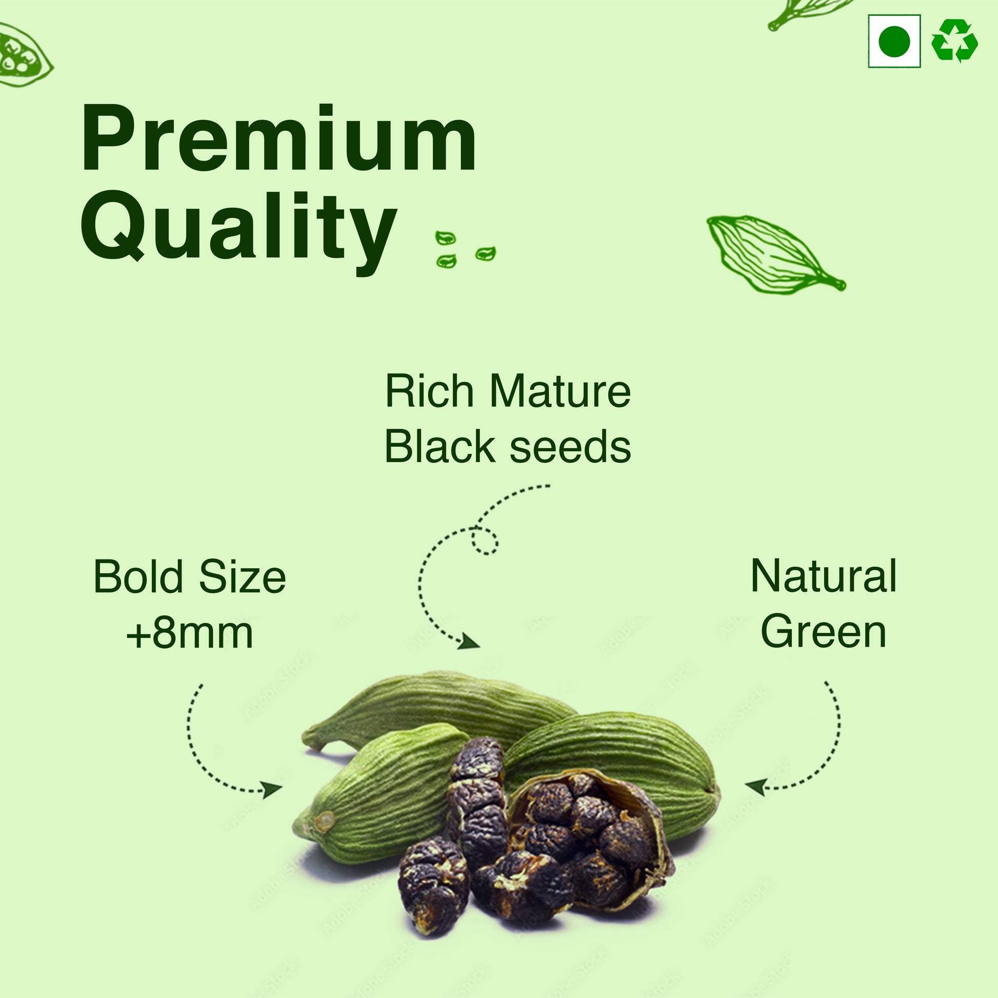 Green Cardamom