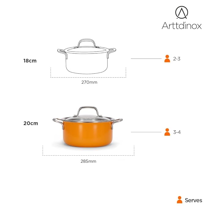 Arttdinox Vida Stainless Steel Triply Pot With Glass Lid for Biryani | 20 Cm | 3 Ltr | Rivetless Handle | Jindal Stainless