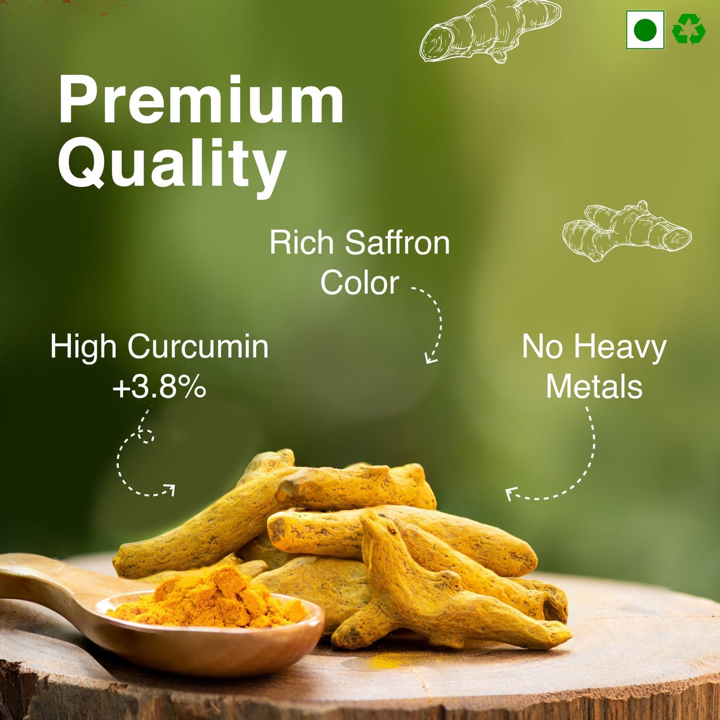 Turmeric Powder