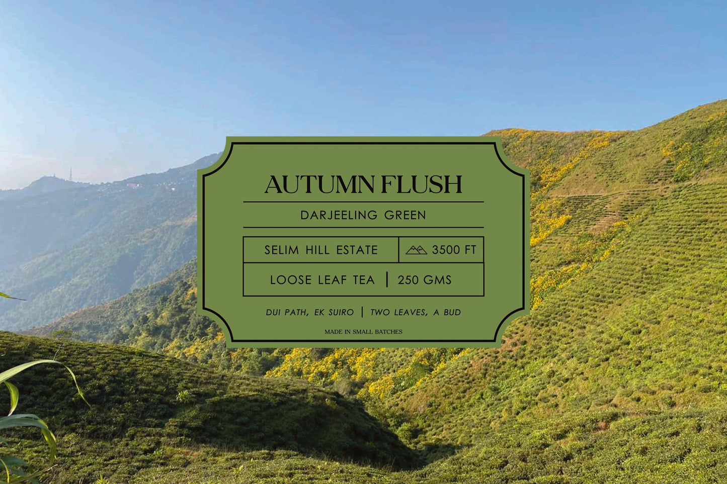 Autumn Flush – Green Tea