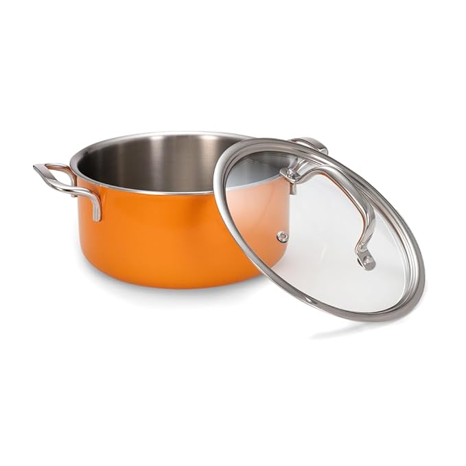 Arttdinox Vida Stainless Steel Triply Pot With Glass Lid for Biryani | 18 Cm | 2 Ltrs | Rivetless Handle | Induction & Gas Base
