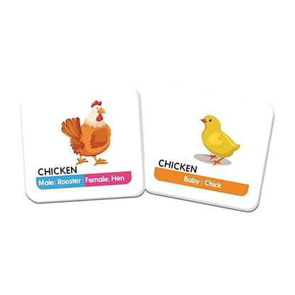 Funskool Games Memory Animal Family Educational matching picture game for children