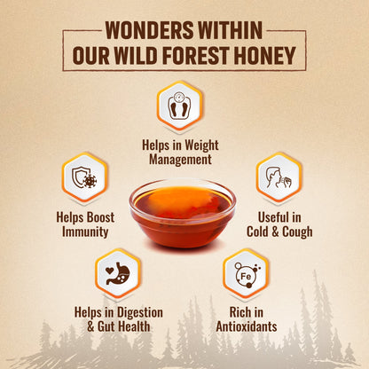 Organic Wild Forest Raw Honey 250g