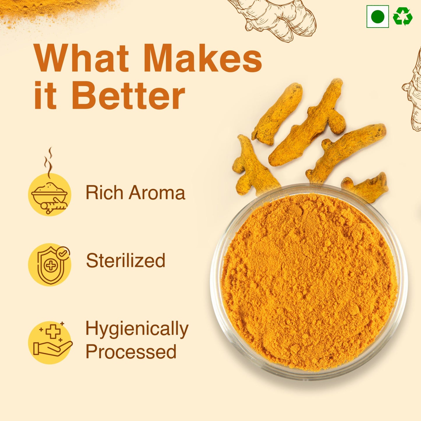 Turmeric Powder