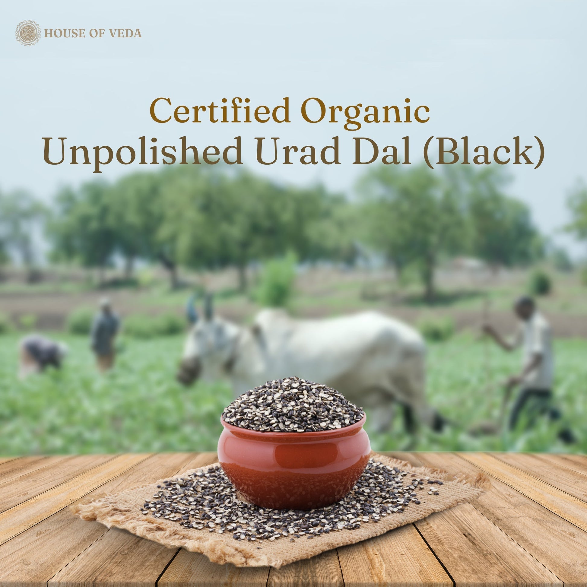 Organic Urad Dal Black Whole 500g