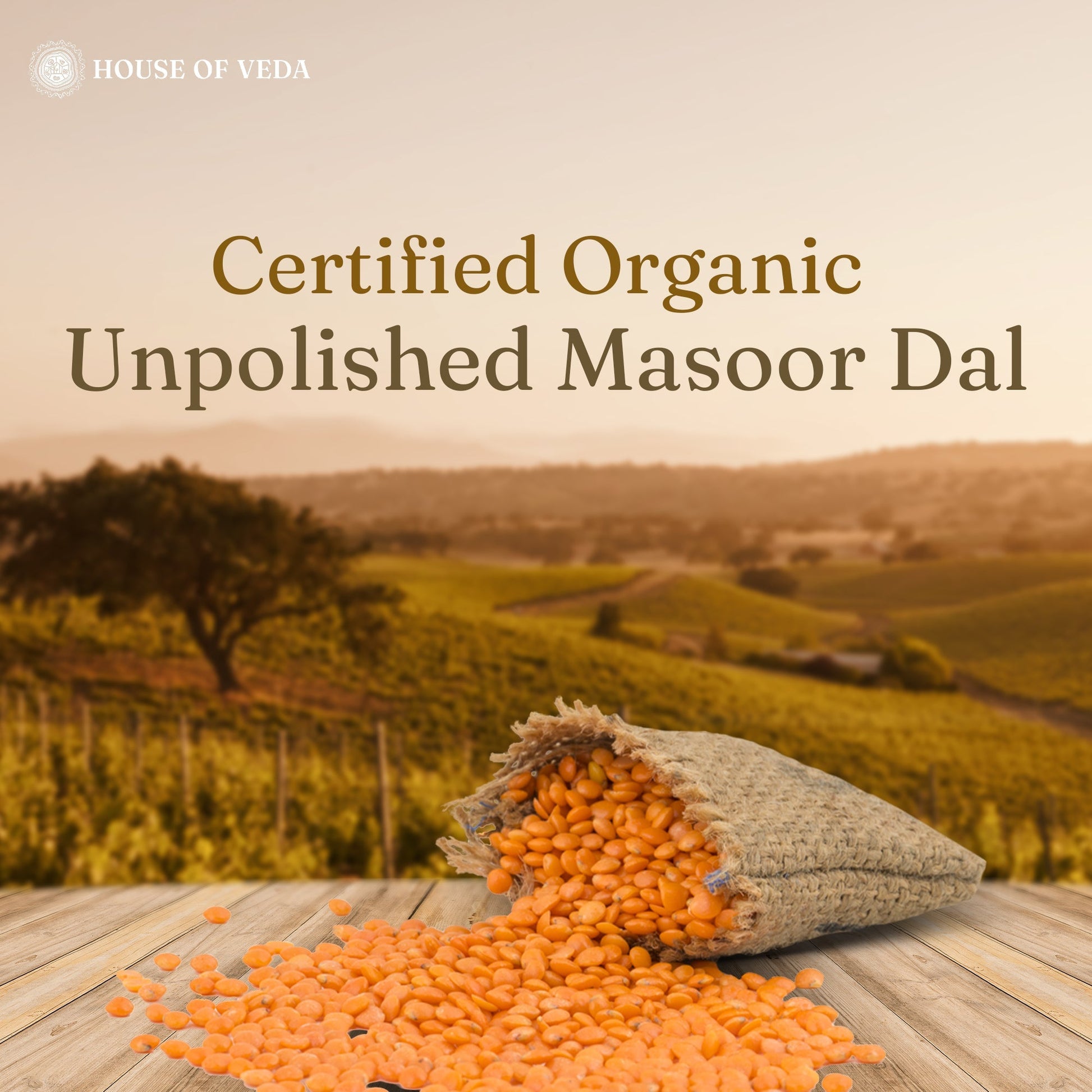Organic Masoor Dal 500g