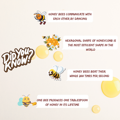 Organic Wild Forest Honey