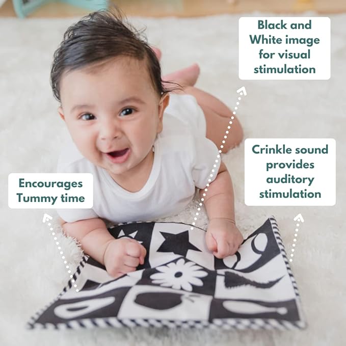 Curious Cub Montessori Learning Wooden Toys