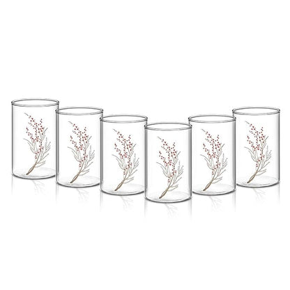 Borosil 295 ml Set of 6 Piece Cherry Vision Transparent Drinking Glass