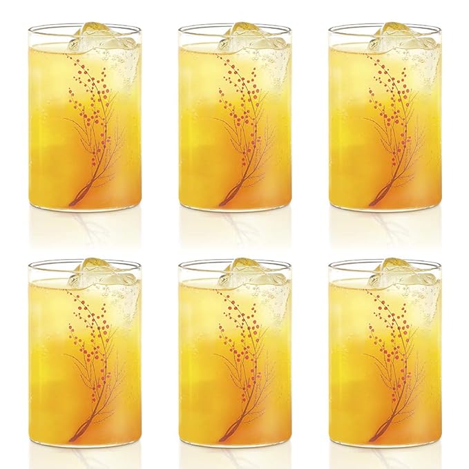 Borosil 295 ml Set of 6 Piece Cherry Vision Transparent Drinking Glass