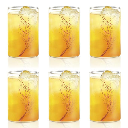 Borosil 295 ml Set of 6 Piece Cherry Vision Transparent Drinking Glass